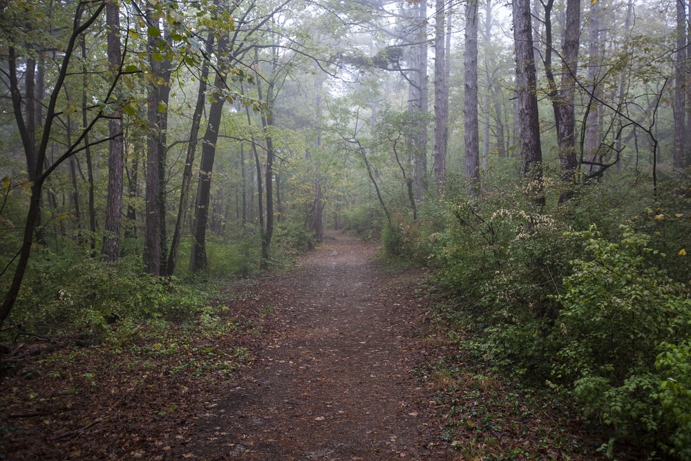 Charlotte NC Activities With Kids Nature Trails